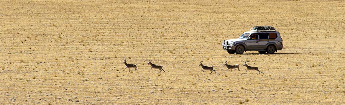 19 Days Big Loop Tour around Ngari Region 