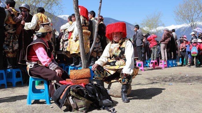 lively peach blossom festival