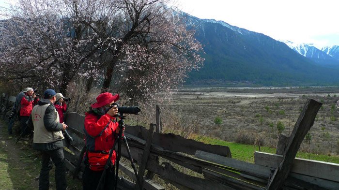 doing photography in Nyingchi in spring