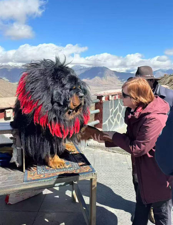 journey to Yamdrok Lake