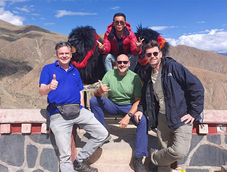 Meet the Tibetan Mastiff