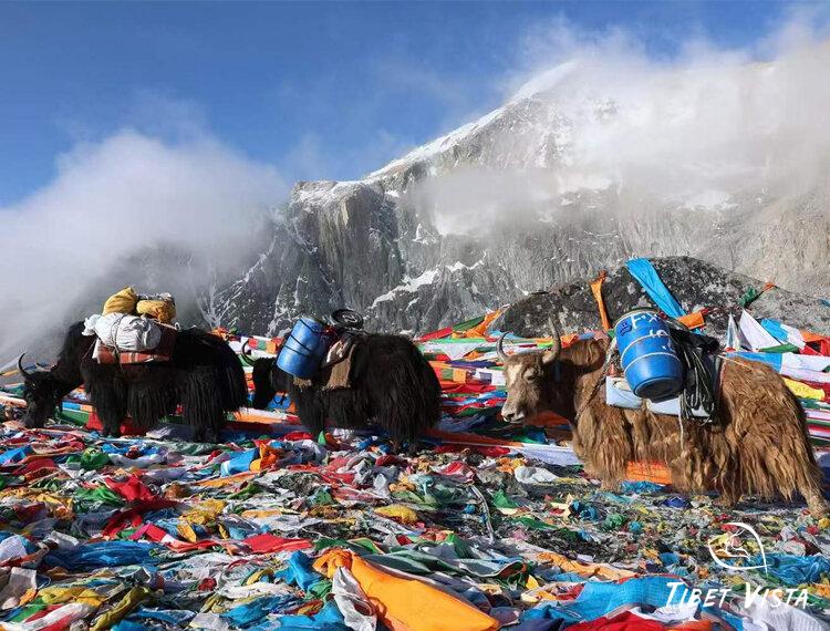 Mount Kailash Trek9