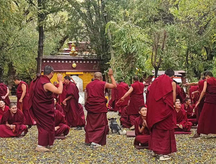 Tibet Meditation Tour