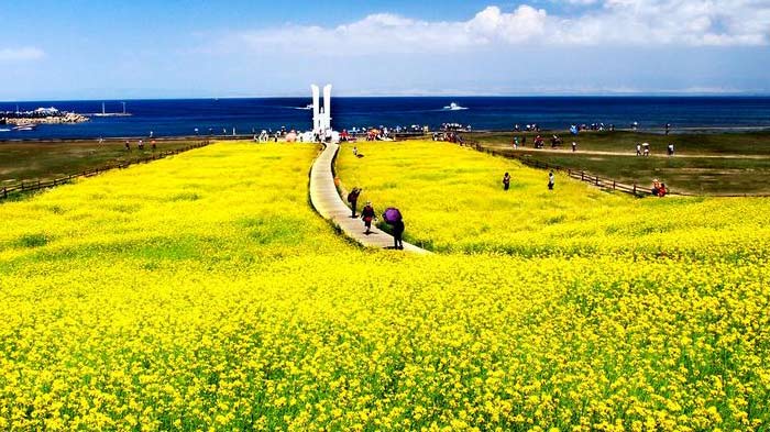 Qinghai Lake in Xining