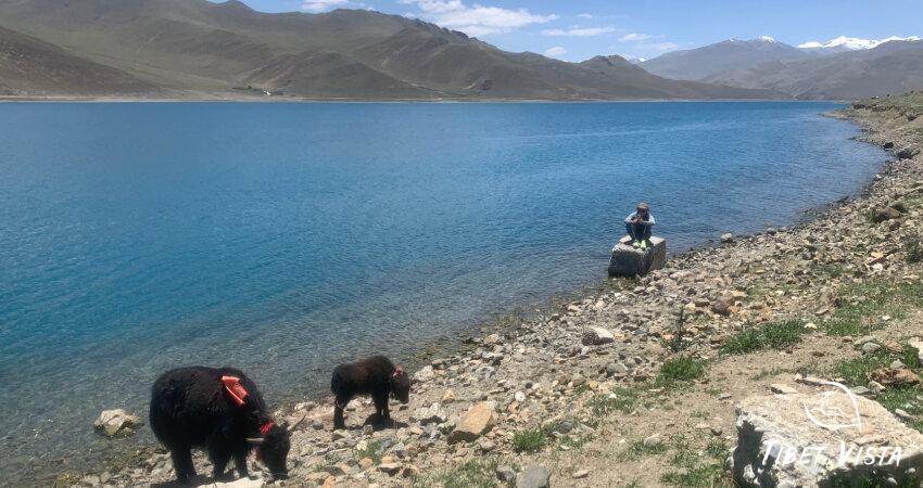 Yamdrok Lake