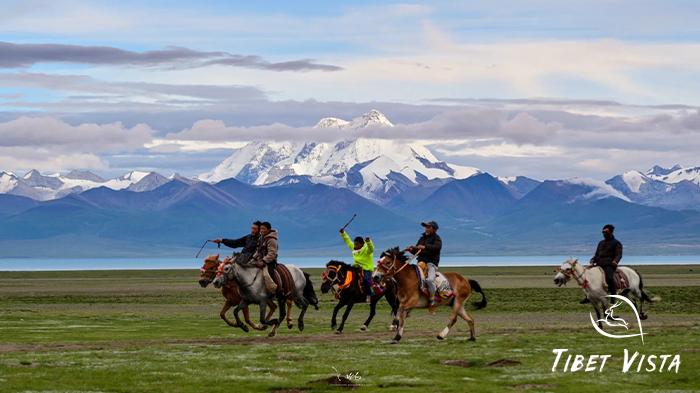 Horse Racing Festival