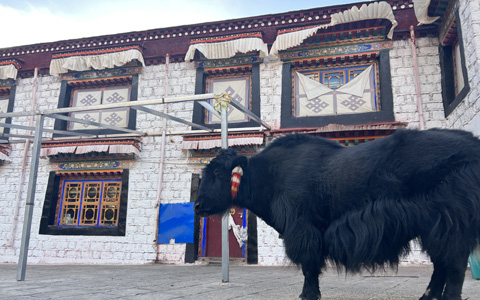 Top 6 Remote Villages of Tibet: Off-the-beaten Path to Autentic Tibetan Village Life