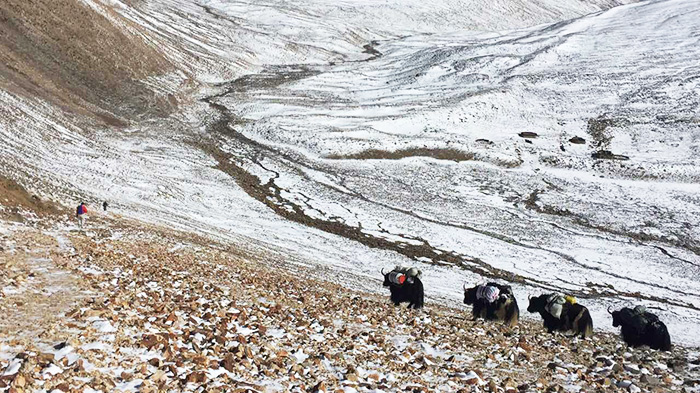  Mount Kailash Pictures 