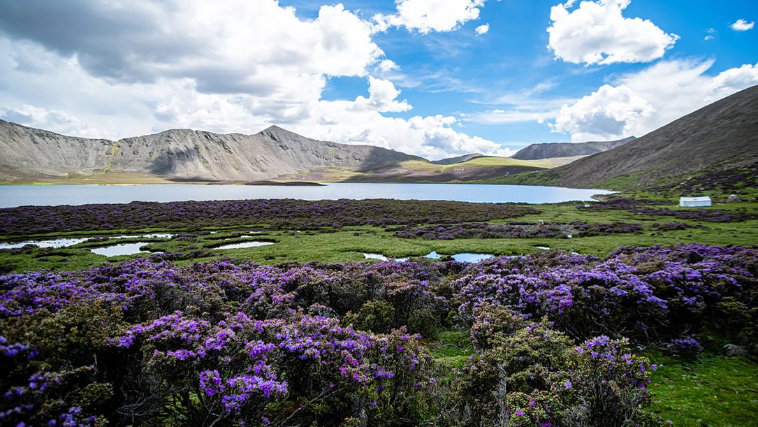 Drigung Tso Day Hike