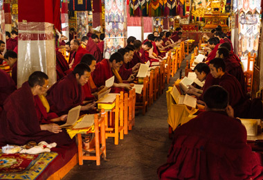 Drepung monks chanting sutras