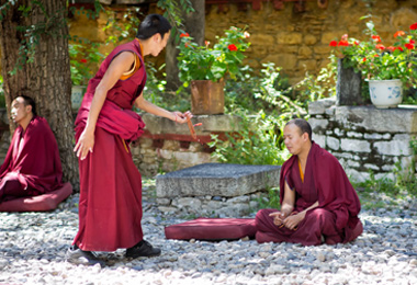 Vibrant monks debating in Drepung Monastery
