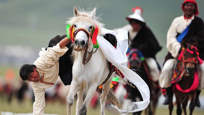 Horse Racing in Shoton Festival