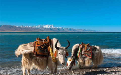 How to Travel in Lhasa: top experiences to enjoy in Lhasa 