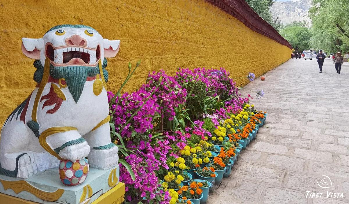 Norbulingka Tour Photos