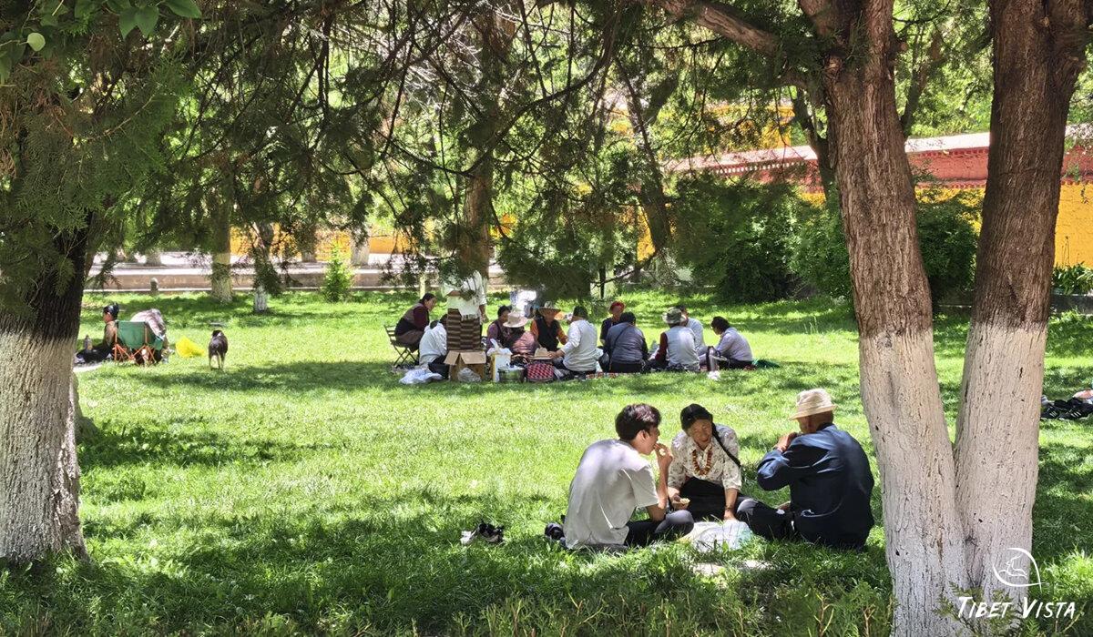 Norbulingka Tour Photos