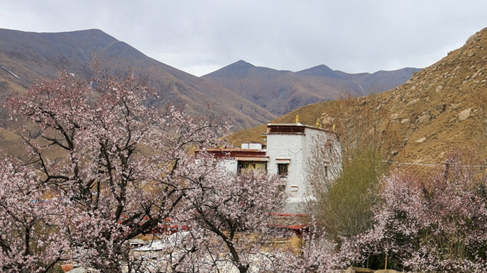 Pabonka in Lhasa
