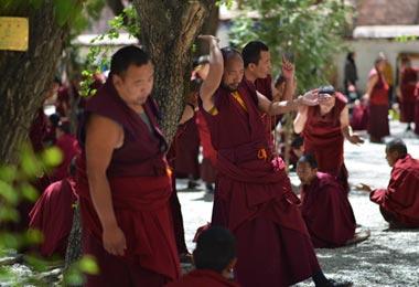 Monk debate held  in the courtyard of Sera monastery