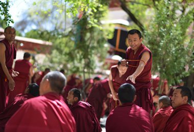 Monk debate in Sera monastery