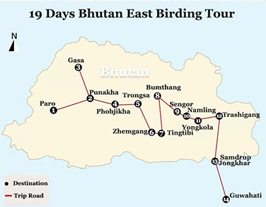 19 Days Bhutan East Birding Tour