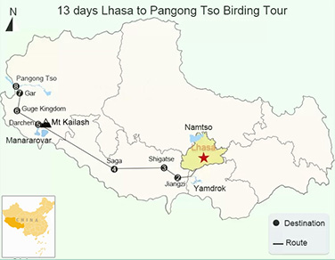 14 Days Lhasa to Pangong tso Birding Tour