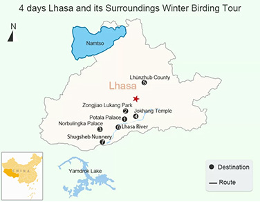 4 Days Lhasa and its Surrounding Birding Tour