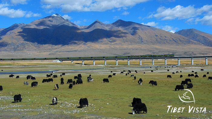 Lhasa to Namtso Lake by train