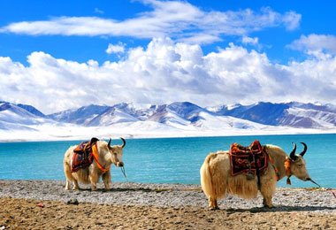One can't fully understand the unparalleled beauty of Namtso lake until he comes and sees himself