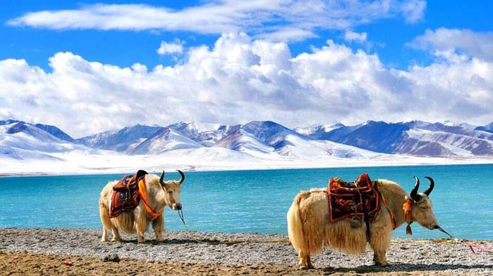 Lake Namtso in Tibet