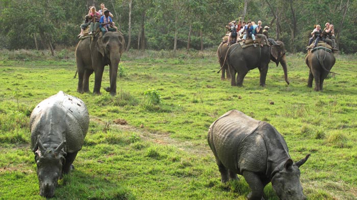 Best Time to Visit Chitwan