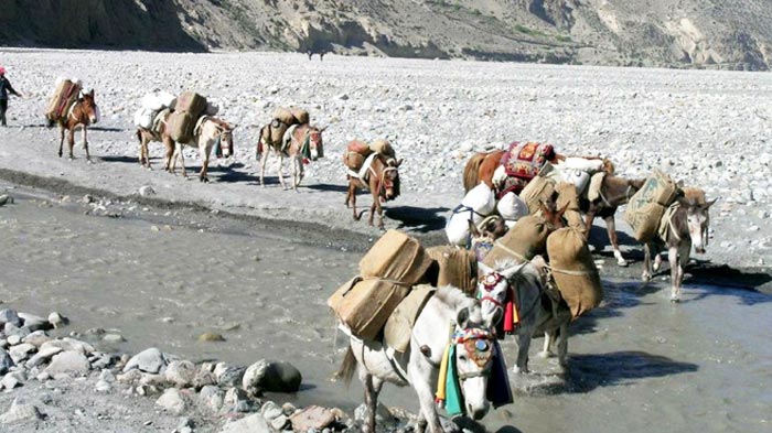 Horse Treks in Nepal