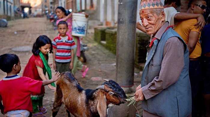 Dashain, Nepal Festival of Slaughter