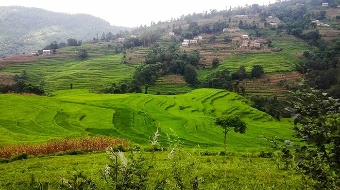 The beautiful scenery along Nagarkot to Changunarayan trekking route