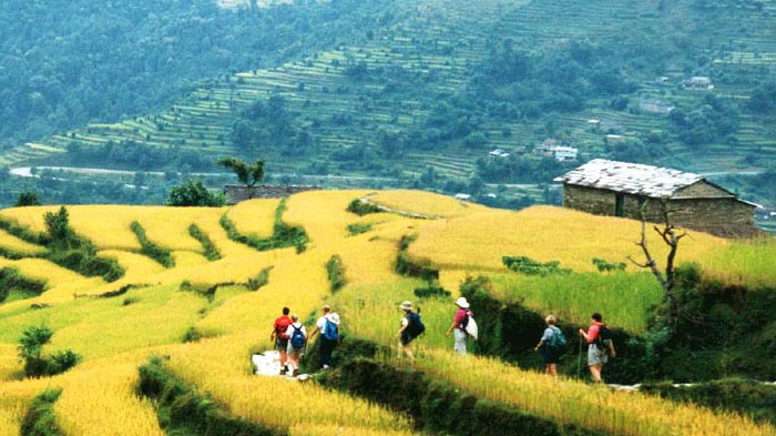 Trekking from Nagarkot to Dhulikhel