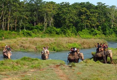 Elephant safari is one of the most popular and major program activities in Chitwan National Park. 