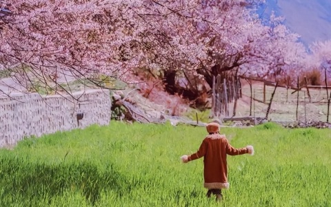 Tips for Traveling to Tibet in Spring