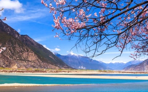 10 Days Chongqing Nyingchi Peach Blossom Train Tour