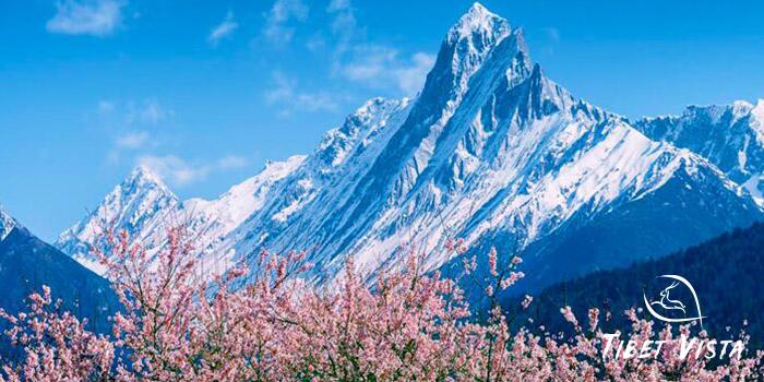 5 Days Eastern Tibet Peach Blossom Tour