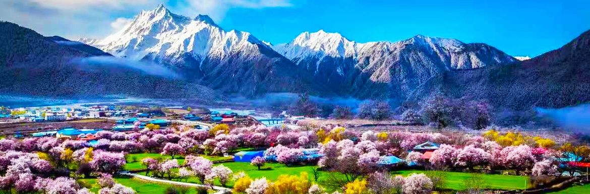 6 Days Best Nyingchi Peach Blossom Villages Tour in Spring 6 Days Best Nyingchi Peach Blossom Villages Tour in Spring