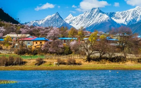 9 Days Chengdu Nyingchi Peach Blossom Train Tour