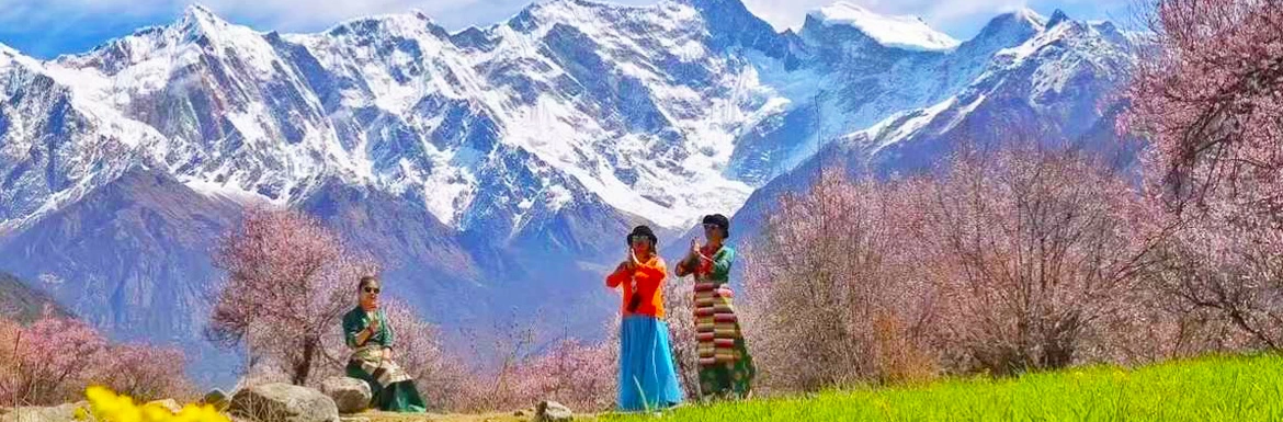 9 Days Nyingchi Peach Blossom Highlights and Lhasa Tour 9 Days Nyingchi Peach Blossom Highlights and Lhasa Tour
