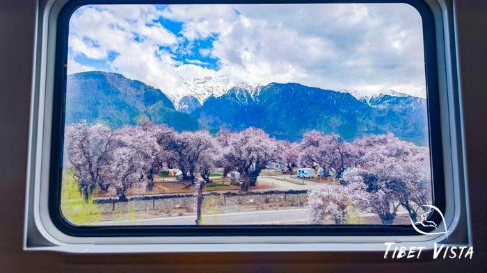 Lhasa-Nyingchi bullet train
