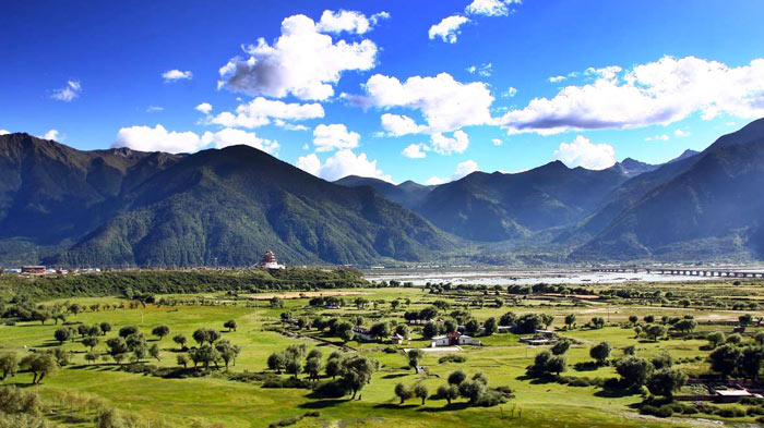 Lulang Forest in Nyingchi