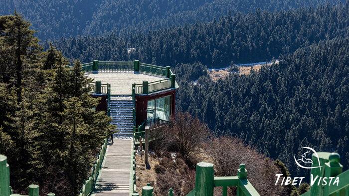 lulang forest observation platform