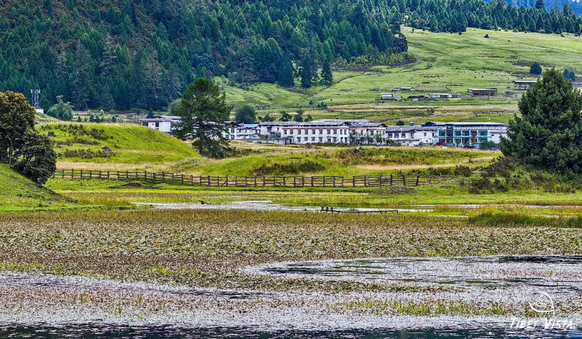 Lulang International Tourist Town