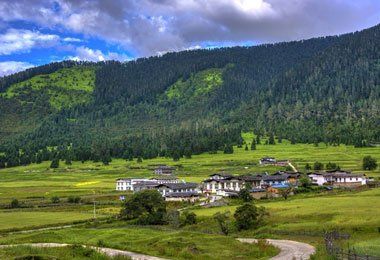 While visiting Lunang Forest, you will see a typical highland meadow landscape, which is totally different from the landscapes of other parts of Tibet.