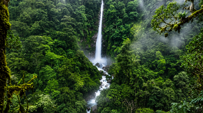 Motuo&rsquo;s Rainforest
