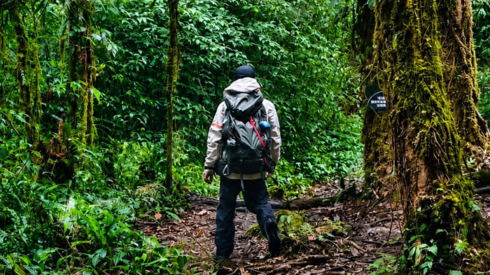 Motuo Trekking