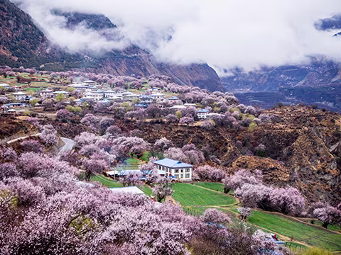 Lhasa to Everest Base Camp Tour