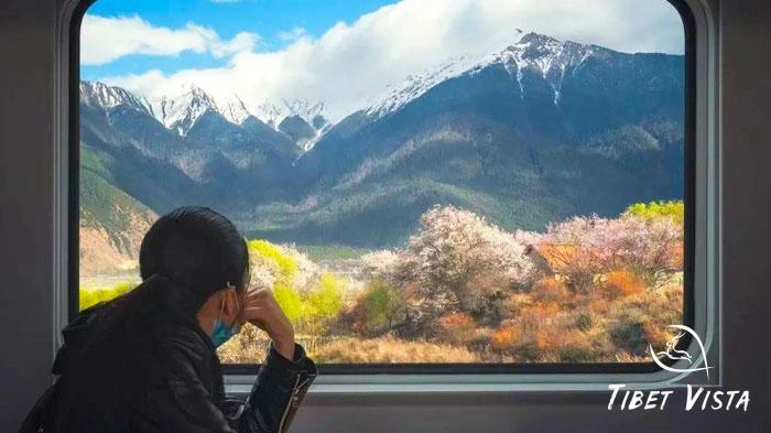 Nyingchi to Lhasa bullet train view