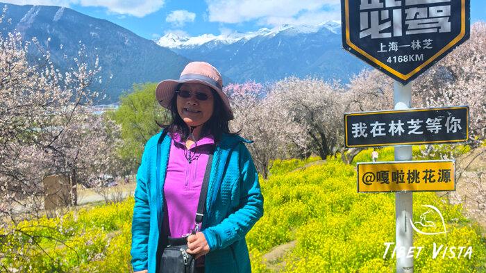 Nyingchi Spring Blossoms